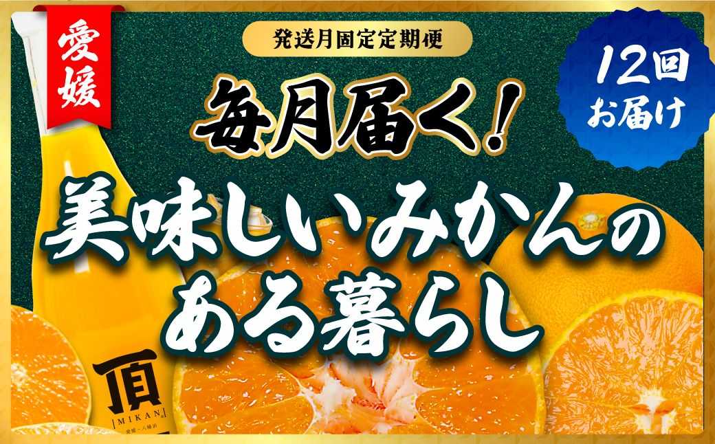 【発送月固定定期便】みかんのある暮らし全12回【H31-33】【配送不可地域：離島】【4000707】 YWTAC022