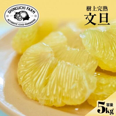 【樹上完熟】文旦 5kg『弾けるシャキッと食感』【D70-31】【1470650】