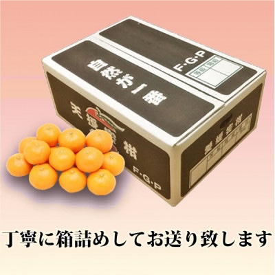 é©åºŠãªæœ®é¢šãããã倪éœå
ãç³å£ãæµ·ã®åå°å
ãæµŽã³ãŠè²ã£ãã倩æèæãçŽ5kgãC39-45ãã1243340ã