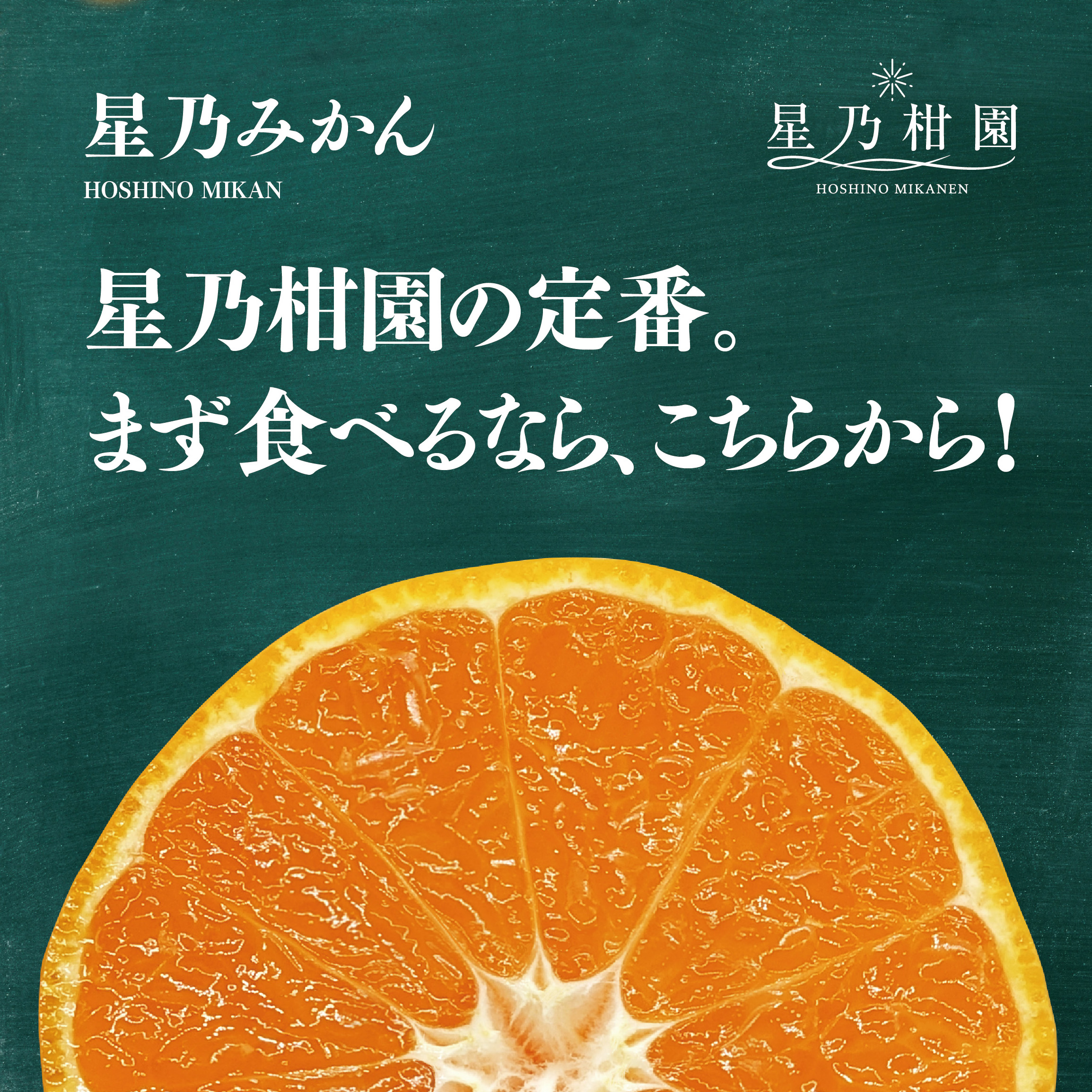 【訳あり】星乃みかん園の星乃みかん(5kg)【A45-98】【1650693】 YWTAZ060