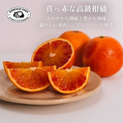 ã倪éœã®æµã¿ãã®ã¥ããšåçž®ããã©ãããªã¬ã³ãž 10kg æåªçç£ãG70-19ãã1470694ã