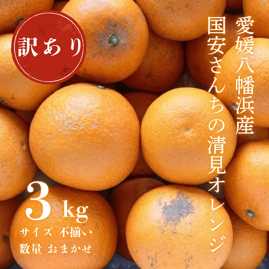 【まるで食べるジュース!越冬完熟品】愛媛産 訳あり 清見オレンジ 3kg【C20-87】【1625400】 YWTI082