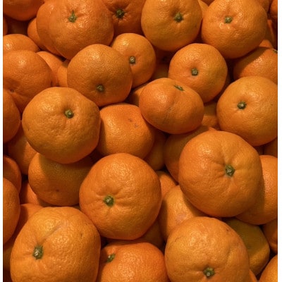 【ご家庭用】横ちゃんちの南柑20号 約5kg【C84-7】【1552438】