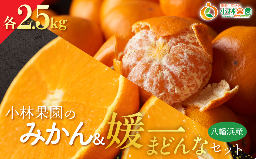 【先行受付】小林果園のみかん&媛一まどんなセット(各約2.5kg入)【C24-17】 YWTAD010
