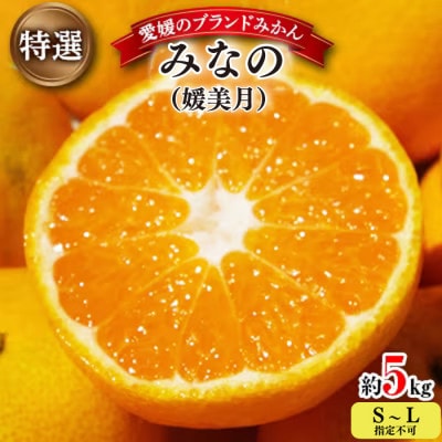 【2025年11月以降発送】みなの共選・特選「みなの(旧:媛美月)」約5kg【D28-1】【1044600】
