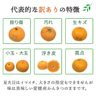 ãçºéæåºå®å®æäŸ¿ãæåªã®äººæ°åçš®ãå³éž!ã¿ããå®æäŸ¿(èš³ãã)ãH25-171ãå
š12åãé
éäžå¯å°åïŒé¢å³¶ãã4056289ã