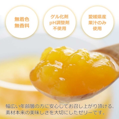 ゲル化剤・pH調整剤不使用!愛媛産 いよかん寒天ゼリー 12本セット【D25-222】【1628734】