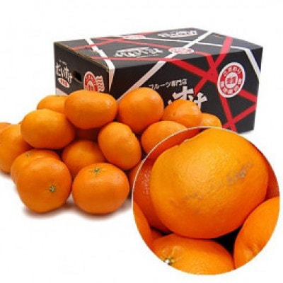 はちきれんばかりの果肉がぎっしり!愛媛県八幡浜産・甘平5kg【訳あり】【E35-16】【配送不可地域：離島・北海道・沖縄県】【1492238】