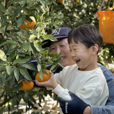 荳我サ」逶ョ縺後▽縺上k逕伜ケウ3kg縲燭31-1縲代1042519縲