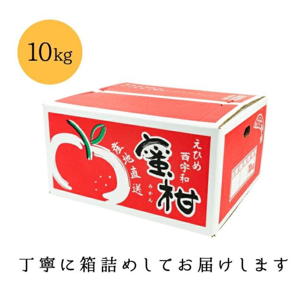 【創業85年 親子4代 愛媛みかん 一筋】愛媛八幡浜産 訳あり極早生みかん 10kg【D20-47】【1594916】 YWTI042