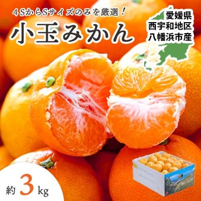 【2025年11月より順次出荷】小さいみかんを厳選!愛媛みかん小玉3kg【訳あり】【A25-218】【1626121】