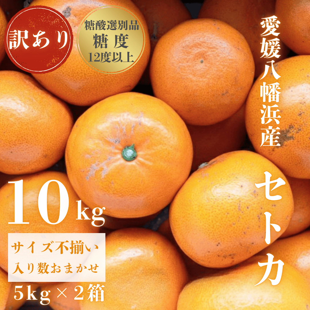 【みかんの大トロ】糖度12.0以上酸1.4以下 糖酸選別品 訳あり愛媛セトカ10kg【G20-75】【1620329】 YWTI070