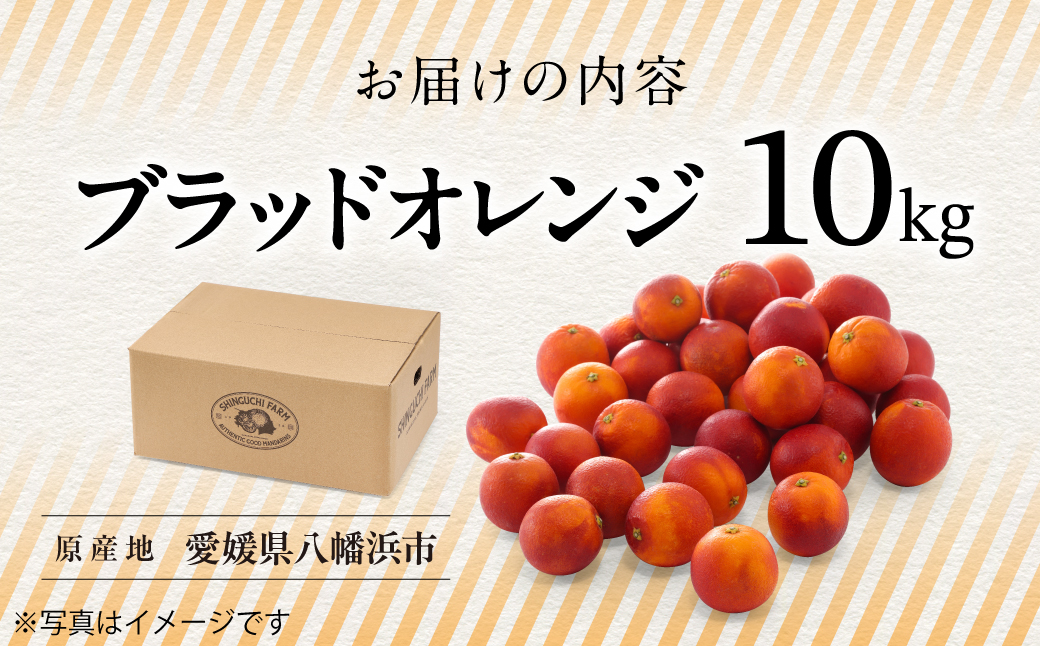 【太陽の恵みをギュッと凝縮】ブラッドオレンジ 10kg 愛媛県産【G70-19】【1470694】 YWTK019