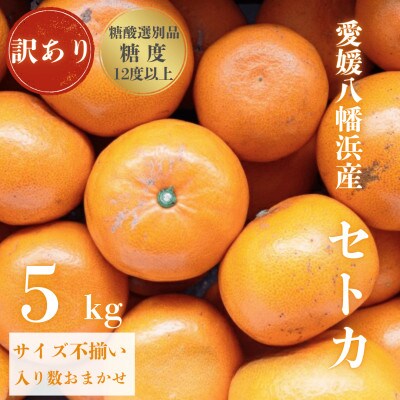 【みかんの大トロ】糖度12.0以上酸1.4以下 糖酸選別品 訳あり 愛媛セトカ5kg【D20-74】【1620328】