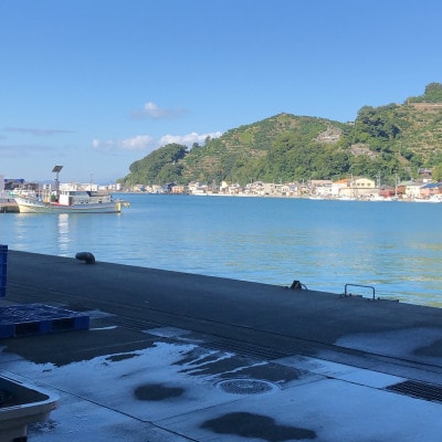 八幡浜発! 竹中水産の「ノドグロー匠の天日干し」1kg前後【H22-218】【配送不可地域：離島】【1045483】