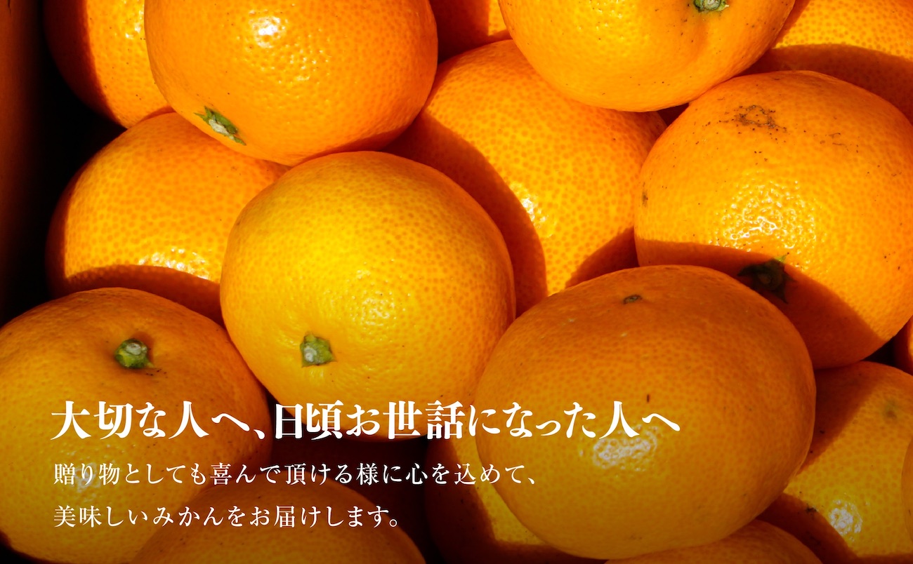 【先行受付】【三つ星ブランド】星乃みかん(5.5kg)【C45-99】【1652556】 YWTAZ061