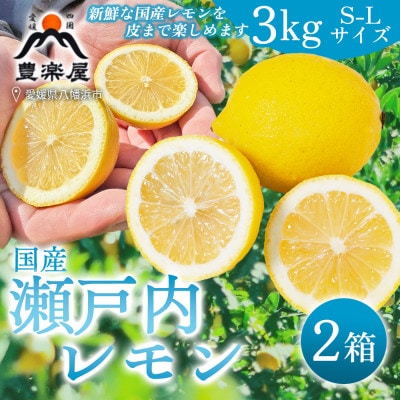 【防腐剤・ワックス不使用で安心】真穴産地直送の国産レモン 3kg×2箱(S~Lサイズ)【E98-6】【1711279】