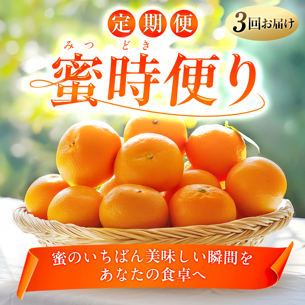 【発送月固定定期便】「蜜時(みつどき)便り」高級3品種　まどんな+甘平+せとか【H64-91】全3回【4069711】 YWTY080