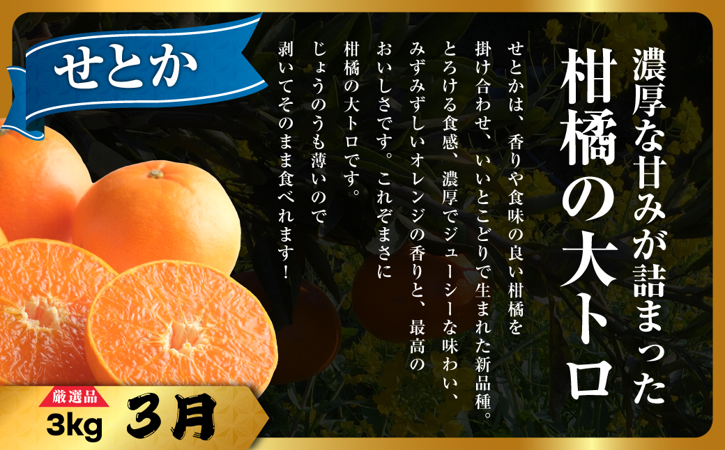 【発送月固定定期便】美味しい柑橘【まどんな・せとか・ニューサマーオレンジ】【G31-45】全3回【配送不可地域：離島】【4058607】 YWTAC034