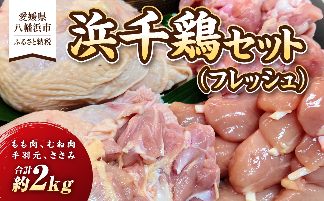 浜千鶏セット(フレッシュ)【C29-1】【配送不可地域：離島】【1487890】 YWTD001