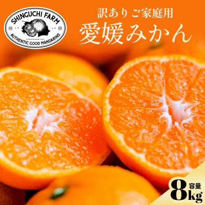 今シーズン発送開始!【訳あり】愛媛みかん 8kg 愛媛県産【C70-150】【1700905】