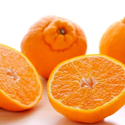 譛鬮倡エ壹∩縺九s 蟐帷嚊 荳咲衍轣ォ 2kg 諢帛ェ帷恁 蜈ォ蟷。豬懷ク 隘ソ螳蜥悟慍蛹コ縲燭25-383縲代1718362縲