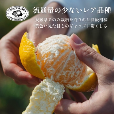 縲宣サ濶イ縺縺ョ縺ォ鬩壹″縺ョ逕倥&縲大ェ帛ー乗丼 5kg縲占∬苓セイ螳カ蜴ウ驕ク縲代触70-86縲代1633362縲