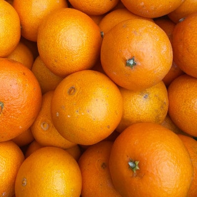 ããå®¶åºçšãçŽ
ãŸã©ã㪠ãšååçš® æåªæè©Š28å· 3.5kg å
«å¹¡æµåžãD25-372ãã1717457ã