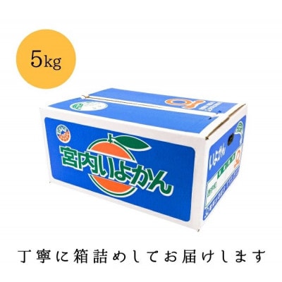 【爽やか香りと柔らかジューシーな果肉】愛媛八幡浜産 宮内伊予柑 5kg【C20-55】【1595885】