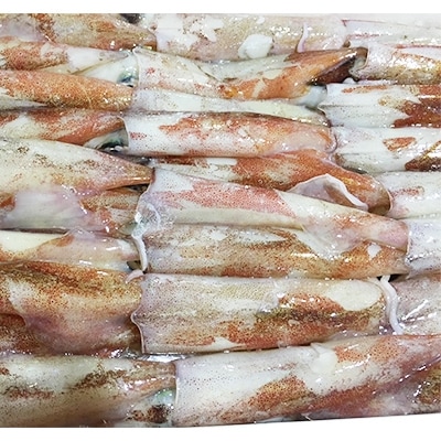 【冷凍便】八幡浜発!「白イカ(剣先イカ)」3.0kg!【H22-209】【配送不可地域：離島】【1047026】