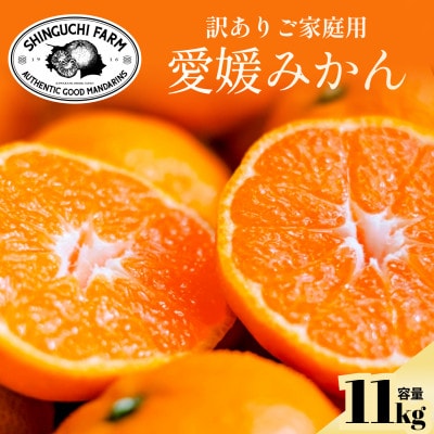 今シーズン発送開始!【訳あり】愛媛みかん 11kg 愛媛県産【C70-136】【1686736】