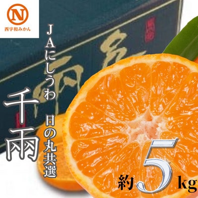 JAにしうわの季節の柑橘(日の丸共選 「千兩」 約5kg)【D08-2】【1443243】