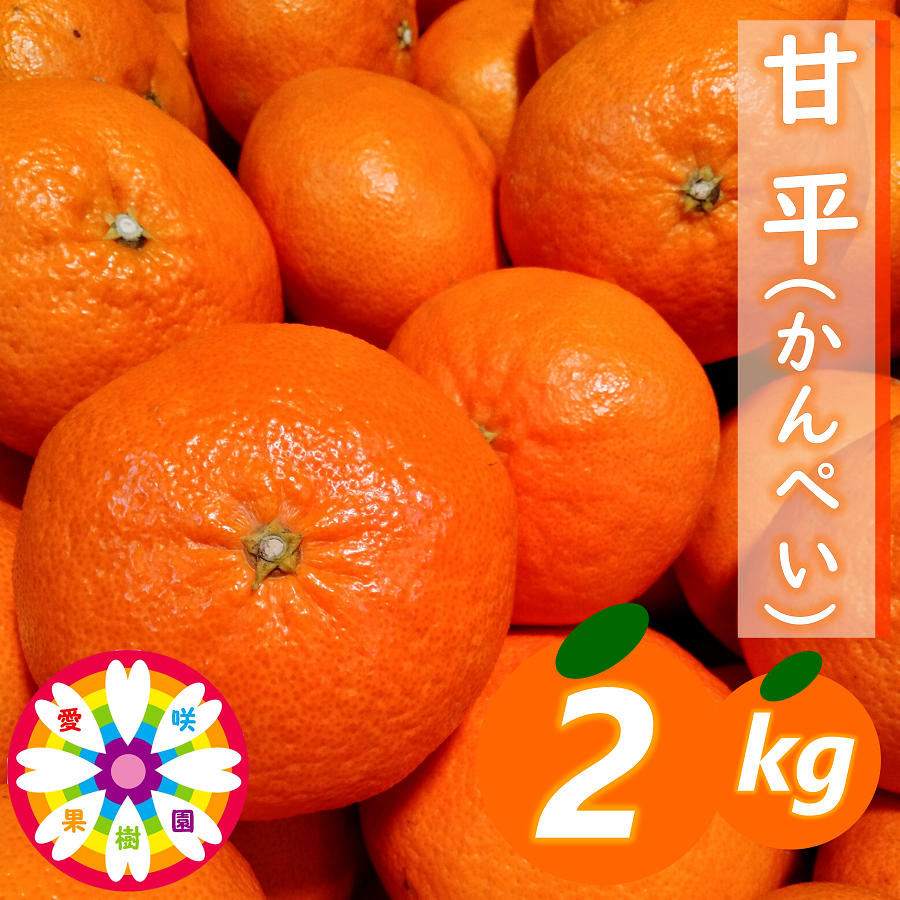 【先行受付】愛咲果樹園 「 甘平 」約2kg【C71-11】【1344718】 YWTS009
