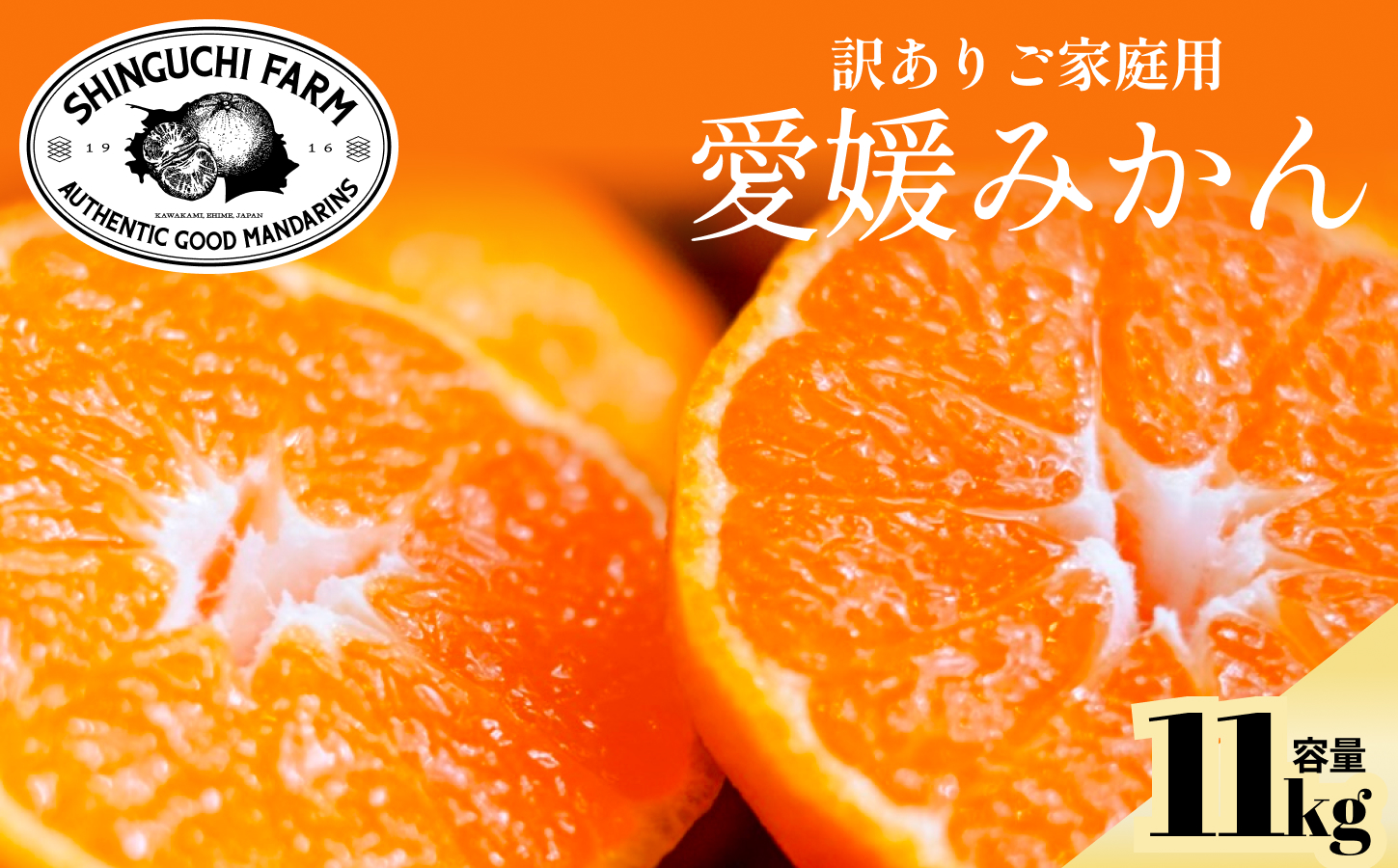 【訳ありだけど美味しさそのまま】愛媛みかん 11kg 愛媛県産【C70-136】【1686736】 YWTK135