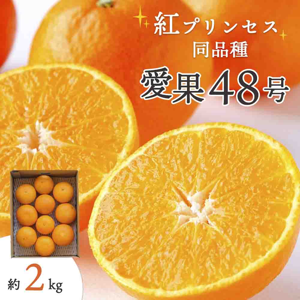 甘平×まどんな「紅プリンセス」と同品種!愛媛果試48号 2kg【E25-181】【1607364】 YWTAP122