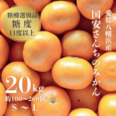 【糖度11度以上 酸1.0以下 糖酸選別品】愛媛みかん 20kg【H20-83】【1623267】