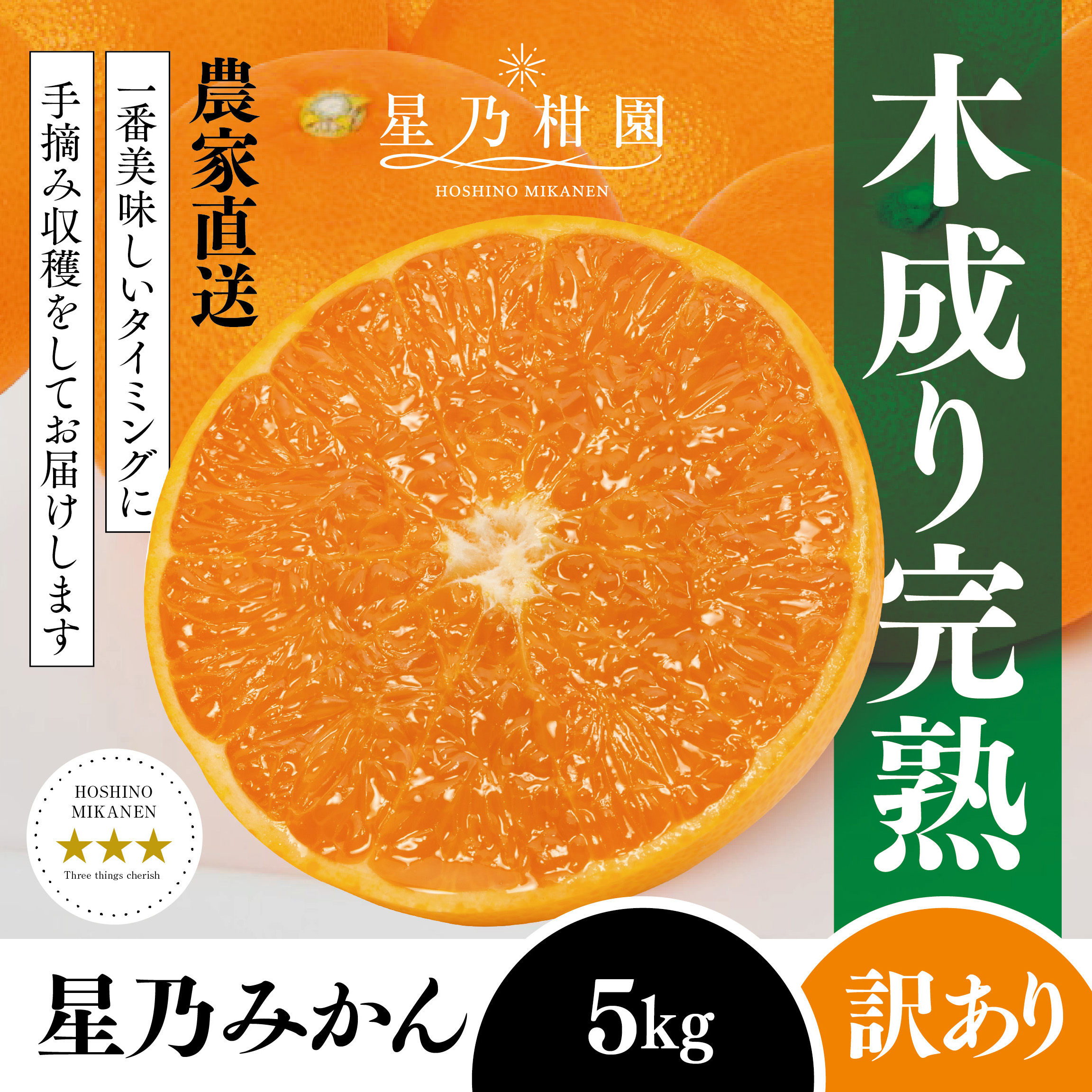 【訳あり】星乃みかん園の星乃みかん(5kg)【A45-98】【1650693】 YWTAZ060