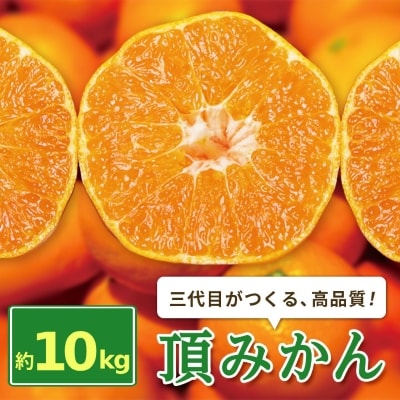 三代目がつくる高品質【頂みかん】10kg【1181951】