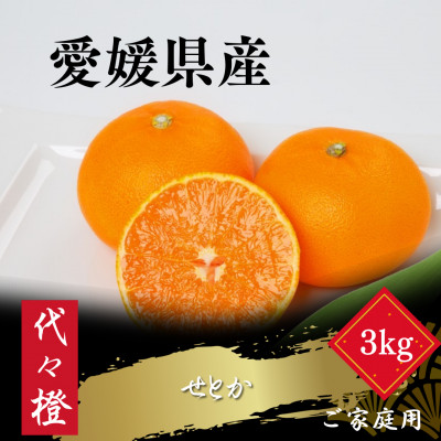 【最高の旨みと香りが詰まった】代々橙せとか【ご家庭用】3kg【C83-44】【1623951】