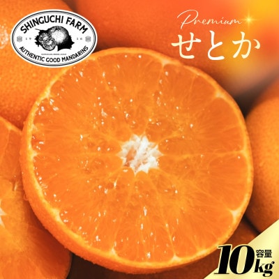 【数量限定】老舗農家が見極めたプレミアム【せとか10kg】柑橘の大トロ【H70-116】【1683916】