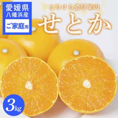 【先行受付】 【ご家庭用】せとか 3kg 愛媛県 八幡浜産市 西宇和地区 柑橘の女王【C25-337】【1713684】 YWTAP278