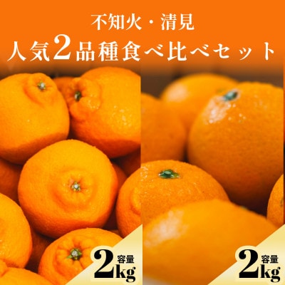 不知火+清見 愛媛人気2品種食べ比べ【各2kg】【D70-133】【1684456】