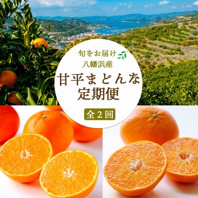 【発送月固定定期便】愛媛限定栽培品種 まどんな×甘平定期便【訳あり】【H25-286】全2回【4071235】