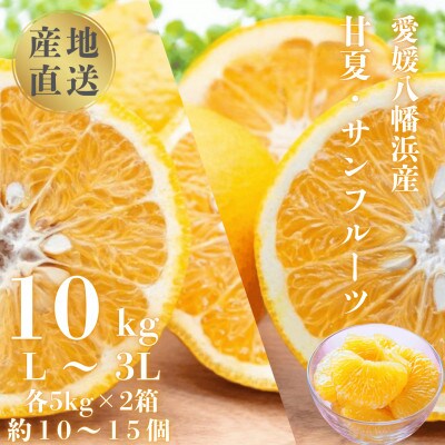 甘夏&サンフルーツ各5kg【D20-10】【1094576】