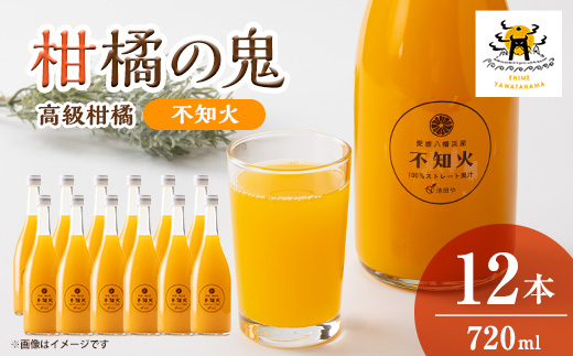 不知火ジュース(ストレート)720ml×12本【H56-80】【1668633】