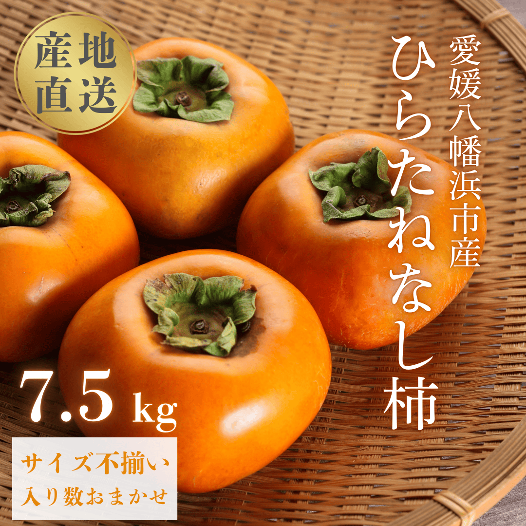 国安さんちのひらたねなし柿 7.5kg【F20-27】【1323619】 YWTI022