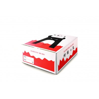 八幡浜産・ネーブル10kg【訳あり】【D56-44】【配送不可地域：離島】【1479309】