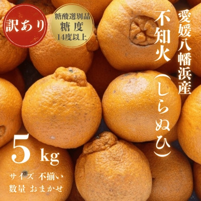 【糖度14.0以上酸1.4以下】糖酸選別品 愛媛産 訳あり 不知火(しらぬひ)5kg【C20-64】【配送不可地域：離島】【1620236】