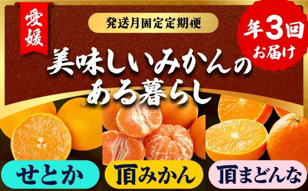 【発送月固定定期便】美味しいみかん柑橘のある暮らし【みかん・まどんな・せとか】【G31-43】全3回【配送不可地域：離島】【4058604】 YWTAC032