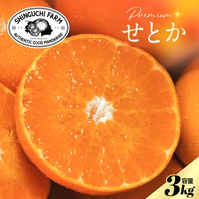 【贈答用】五代目が厳選した「柑橘の大トロ せとか」3kg【F70-154】【1707144】